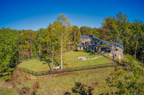 116 Fallen Tree Ln, Mill Spring, NC 28756 photo 3
