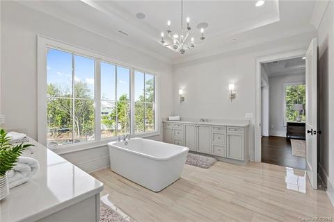 19329 Watermark Dr #252, Cornelius, NC 28031 photo 24