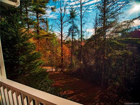 60 Thad Johnson Rd, Saluda, NC 28773 photo 10