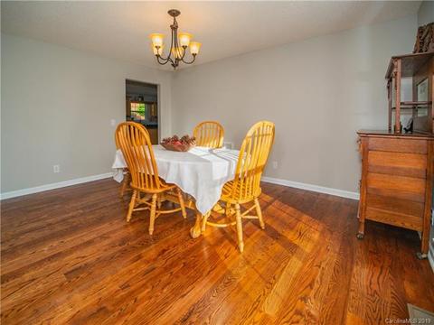 60 Thad Johnson Rd, Saluda, NC 28773 photo 26