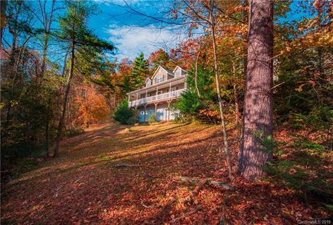 60 Thad Johnson Rd, Saluda, NC 28773 photo 5
