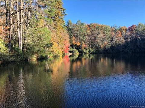 35 Big Pine Ln, Brevard, NC 28712 photo 27