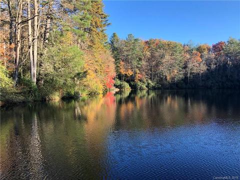 35 Big Pine Ln, Brevard, NC 28712 photo 31