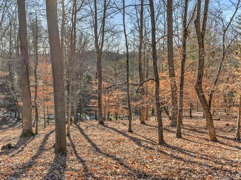 204 Hunter Knl, Marshall, NC 28753 photo 32
