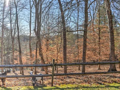 204 Hunter Knl, Marshall, NC 28753 photo 31