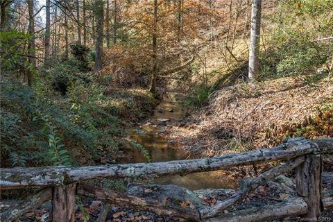 892 Pearson Falls Rd, Saluda, NC 28773 photo 29