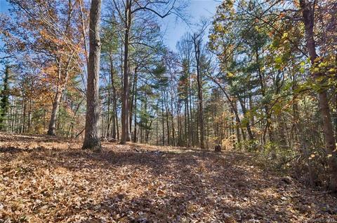 134 Mountain View Rd, Fairview, NC 28730 photo 3