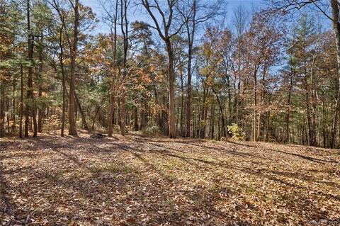 134 Mountain View Rd, Fairview, NC 28730 photo 9