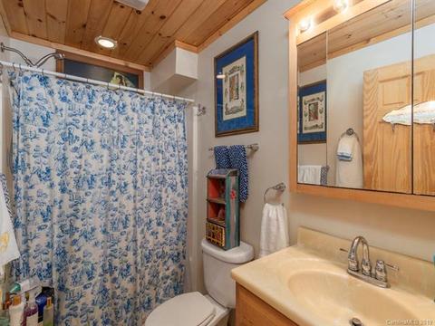 437 Bee Tree Ln, Mars Hill, NC 28754 photo 22