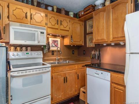 437 Bee Tree Ln, Mars Hill, NC 28754 photo 9