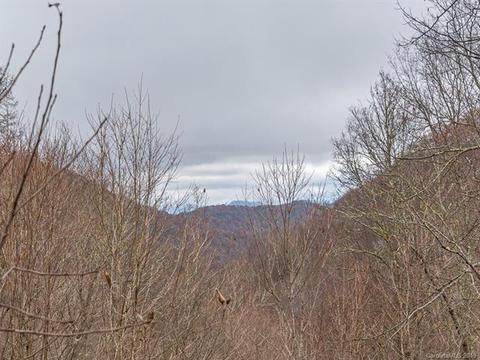 437 Bee Tree Ln, Mars Hill, NC 28754 photo 4