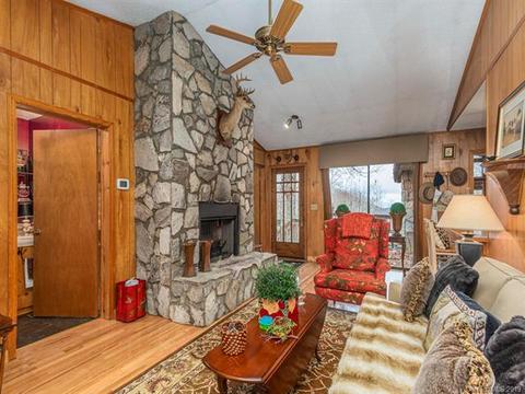 437 Bee Tree Ln, Mars Hill, NC 28754 photo 7