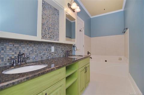 235 Twain Ave, Davidson, NC 28036 photo 24