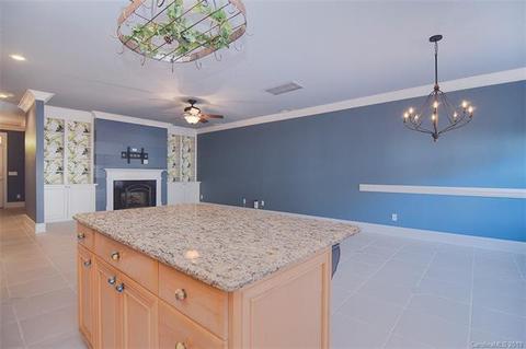 235 Twain Ave, Davidson, NC 28036 photo 8