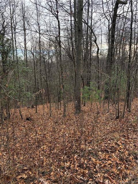 151 Wetherbee Ln, Rosman, NC 28772 photo 3