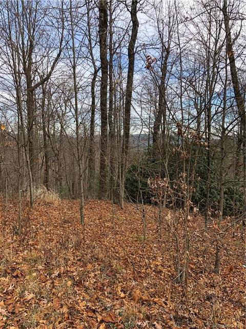 151 Wetherbee Ln, Rosman, NC 28772 photo 2