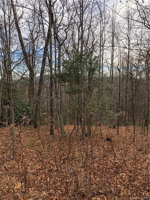 151 Wetherbee Ln, Rosman, NC 28772 photo 1