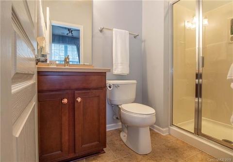 667 Sixth Baxter Xing, Fort Mill, SC 29708 photo 16