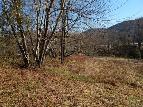 217 Durham Rd, Clyde, NC 28721 photo 24
