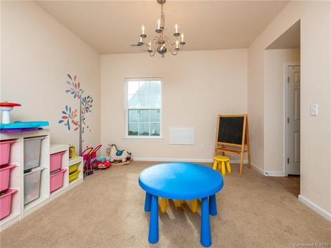 10950 Kingsview Dr, Davidson, NC 28036 photo 12