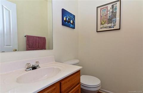 7031 Blithe Low Pl, Charlotte, NC 28273 photo 13