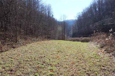 2186 Spillcorn Rd, Marshall, NC 28753 photo 20