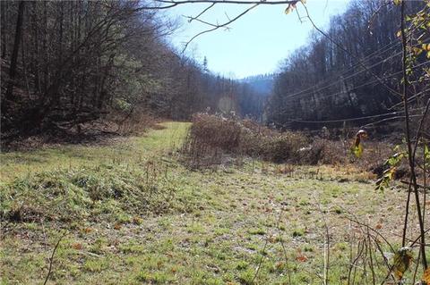 2186 Spillcorn Rd, Marshall, NC 28753 photo 21