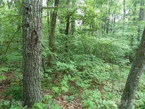 3 N Pointe Dr #3, Zirconia, NC 28790