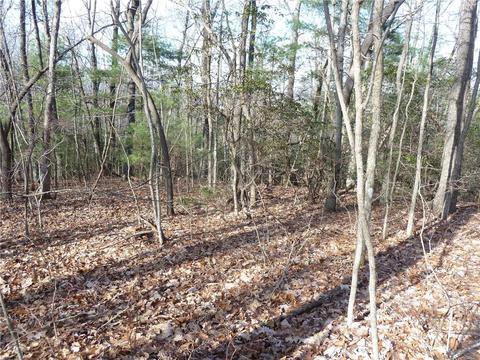 51 N Pointe Dr #51, Zirconia, NC 28790