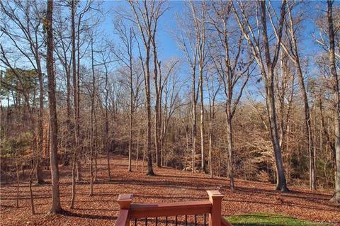 902 Harvest Pointe Dr, Fort Mill, SC 29708 photo 47