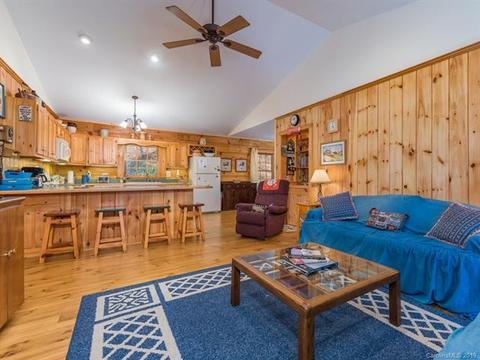 89 Pole Cat Rd, Saluda, NC 28773 photo 4
