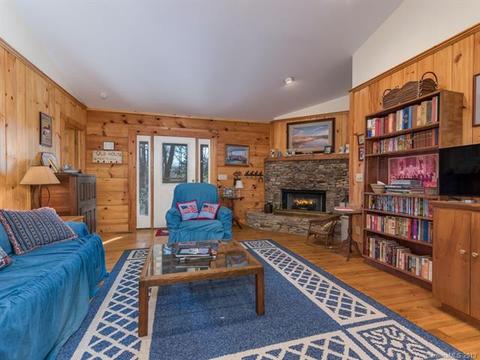 89 Pole Cat Rd, Saluda, NC 28773 photo 2