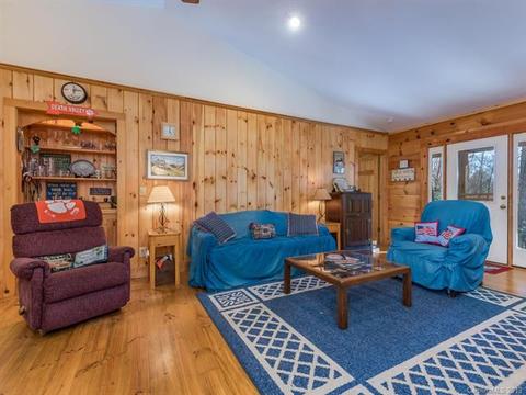 89 Pole Cat Rd, Saluda, NC 28773 photo 3