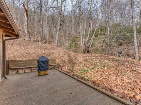 89 Pole Cat Rd, Saluda, NC 28773 photo 23