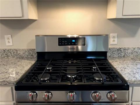 105 Mallard Ct, Davidson, NC 28036 photo 8