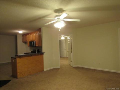 7331 Hallman Mill Rd, Vale, NC 28168 photo 8