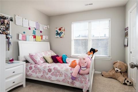 18849 Silver Quay Dr, Cornelius, NC 28031 photo 24