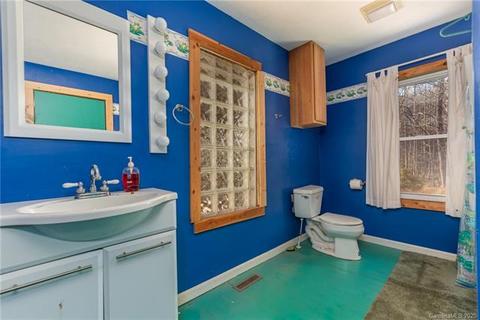 866 Henry Ruff Rd, Mill Spring, NC 28756 photo 17