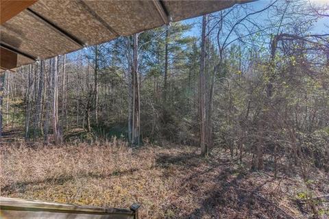 866 Henry Ruff Rd, Mill Spring, NC 28756 photo 23