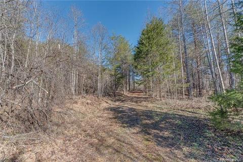 866 Henry Ruff Rd, Mill Spring, NC 28756 photo 21