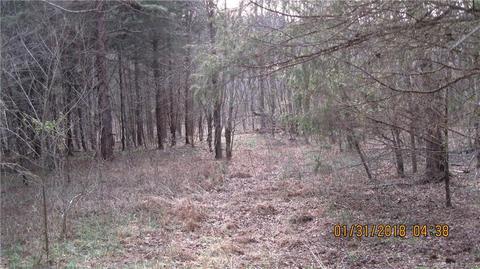 4007 C B Farm Rd, Conover, NC 28613 photo 7