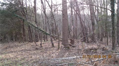 4007 C B Farm Rd, Conover, NC 28613 photo 5
