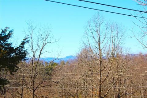 372 Hogsed Rd, Brevard, NC 28712 photo 5