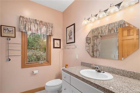 109 Continental Dr, Flat Rock, NC 28731 photo 23