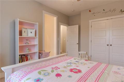 1568 Half Pint Loop, Fort Mill, SC 29708 photo 33