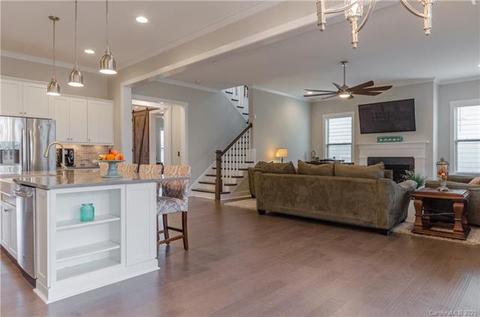 1568 Half Pint Loop, Fort Mill, SC 29708 photo 12