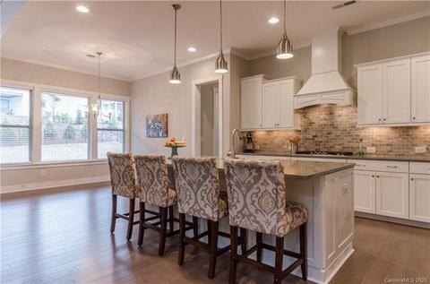 1568 Half Pint Loop, Fort Mill, SC 29708 photo 10