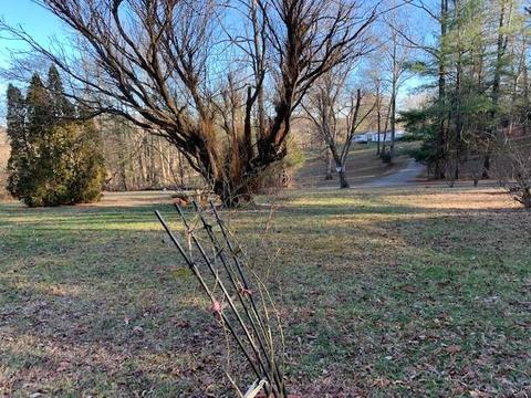5354 Sheriffs Rd, Lenoir, NC 28645 photo 15