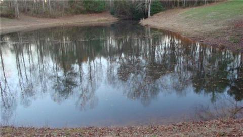 3927 Danielle 3927 Ln #3927, Hudson, NC 28638 photo 26