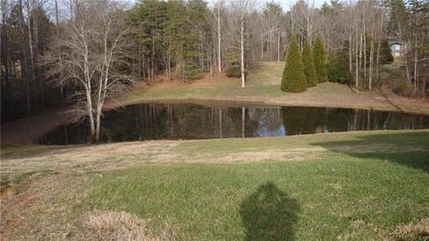 3927 Danielle 3927 Ln #3927, Hudson, NC 28638 photo 21